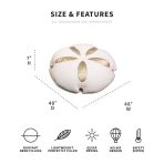 Sand Dollar - Image 8