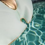 Sand Dollar - Image 4