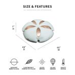 Sand Dollar - Image 2