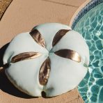 Sand Dollar - Image 5