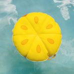Fruit Slice Small - Image 9