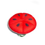 Fruit Slice Small - Image 19