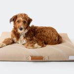 Brigette Romanek | Taupe Dog Bed or Bed Cover