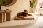 Brigette Romanek | Taupe Dog Bed or Bed Cover - Image 2