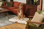 Ecru | Modern Dog Bed or Bed Cover - Image 3