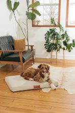 Ecru | Modern Dog Bed or Bed Cover - Image 2