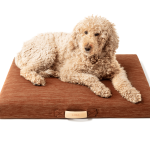 Terra | Modern Dog Bed or Bed Cover