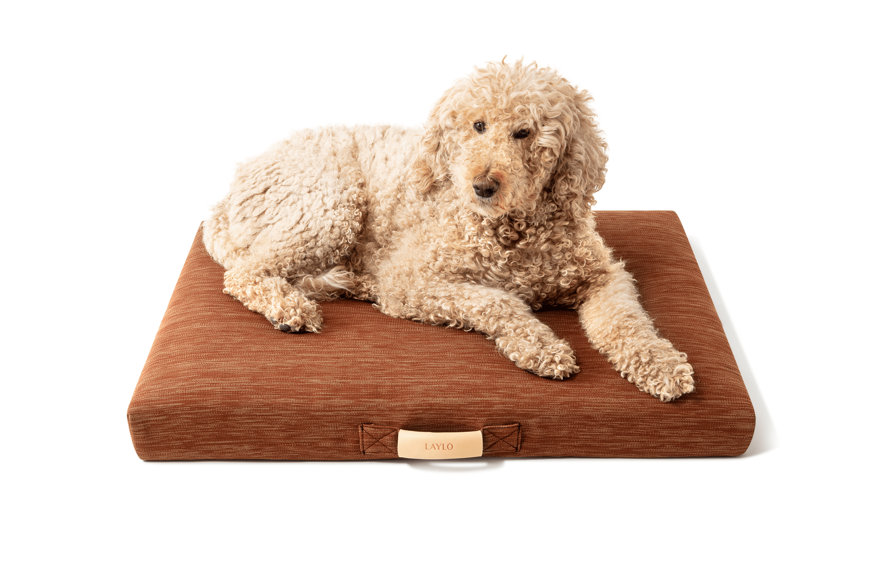 lay-lo-pets-minimalist-terra-modern-dog-bed-or-bed-cover-lay-lo-33290974363834 Terra | Modern Dog Bed or Bed Cover - Image 1