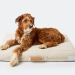 Brigette Romanek | Cream Dog Bed or Bed Cover