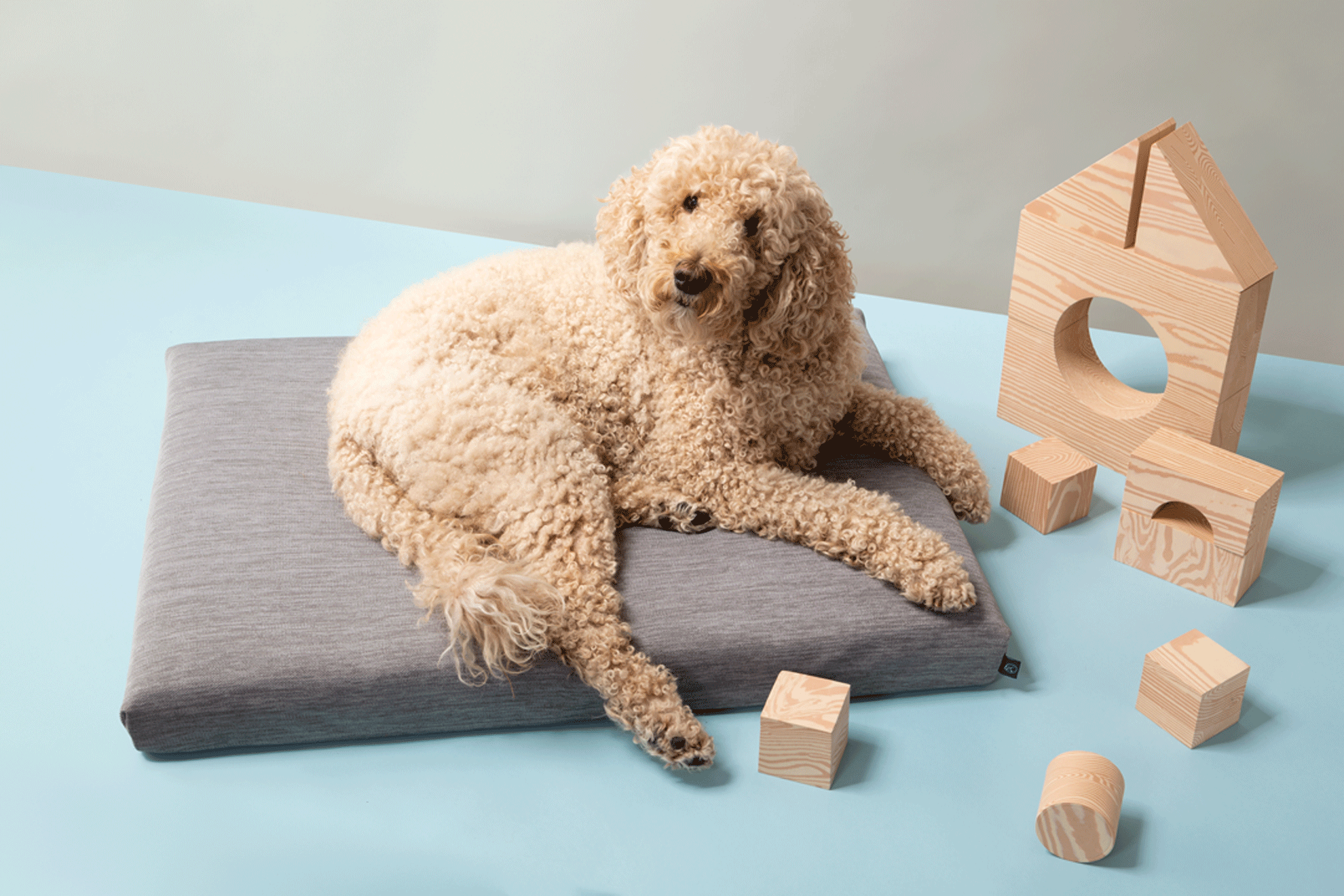 laylo-pets-minimalist-lay-lo-pets-modern-gray-dog-bed-or-bed-cover-lay-lo-29102070923450 Gray | Modern Dog Bed or Bed Cover - Image 1