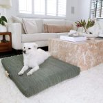 Sage | Modern Dog Bed or Bed Cover