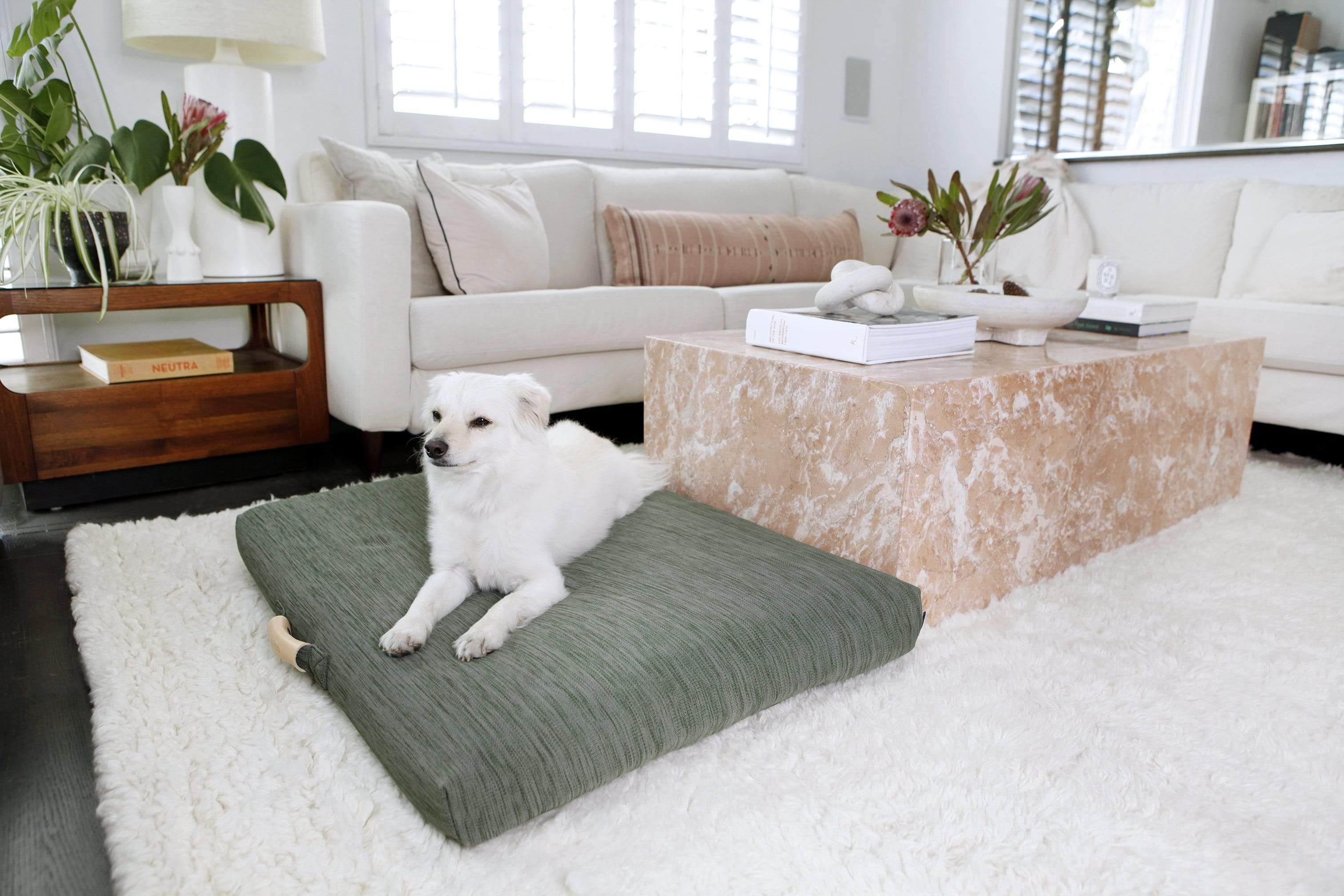 laylo-pets-minimalist-sage-dog-bed-or-bed-cover-lay-lo-28040173879482 Sage | Modern Dog Bed or Bed Cover - Image 1