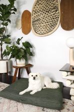 Sage | Modern Dog Bed or Bed Cover - Image 2
