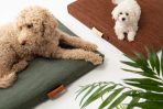 Terra | Modern Dog Bed or Bed Cover - Image 3